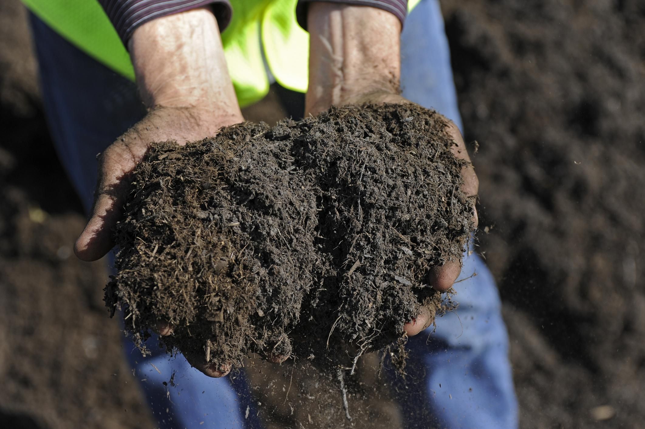 compost
